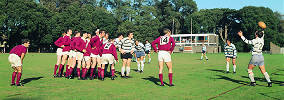 Rugby