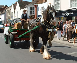Weald & Downland horse and cart