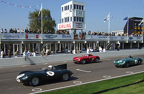 Gary Pearson leads in a Jaguar D-type during the Sussex Trophy