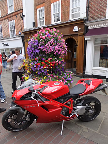 Beautiful motorbikes and beautiful flowers